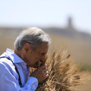 pastificio benedetto cavalieri